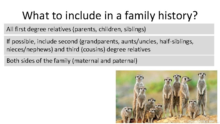 What to include in a family history? All first degree relatives (parents, children, siblings)