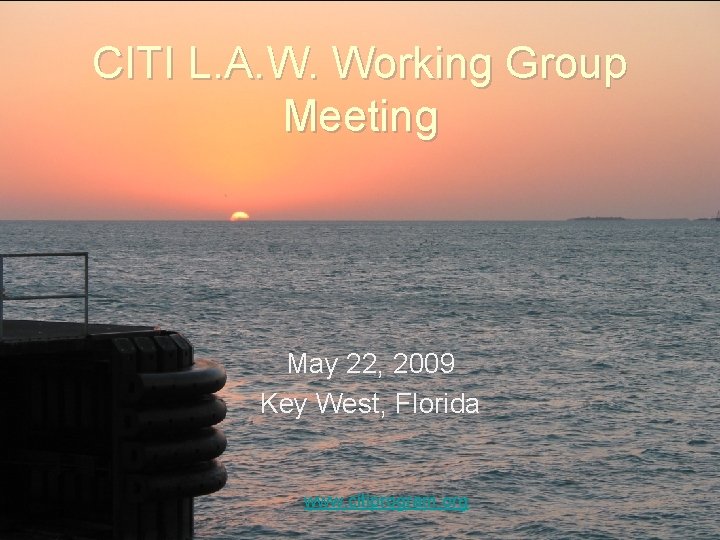 CITI L. A. W. Working Group Meeting May 22, 2009 Key West, Florida www.