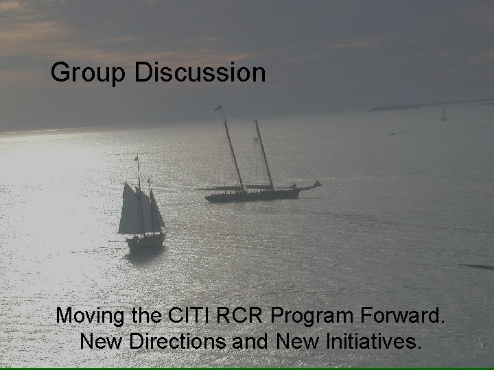 Group Discussion Moving the CITI RCR Program Forward. New Directions and New Initiatives. 