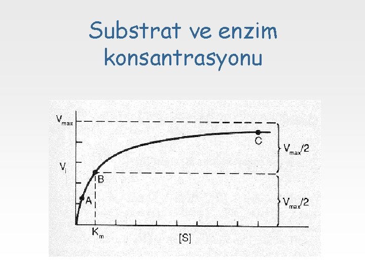 Substrat ve enzim konsantrasyonu 