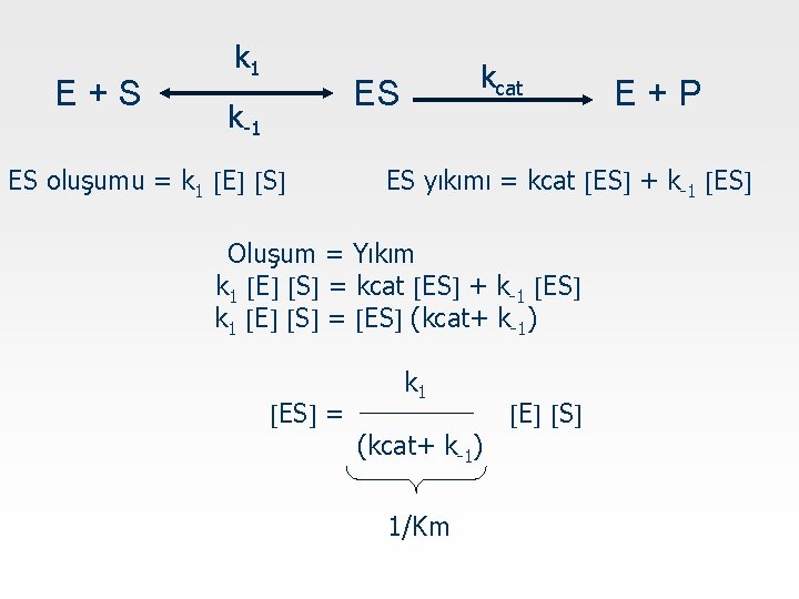 E+S k 1 kcat ES k-1 ES oluşumu = k 1 E S ES