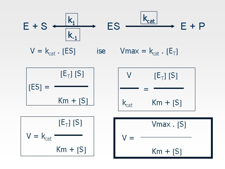 E+S k 1 ES k-1 V = kcat. ES ET S kcat ise E+P