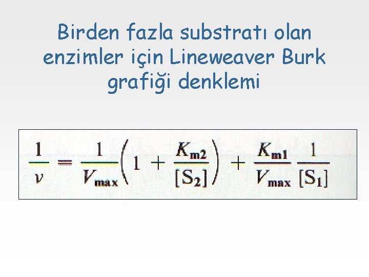 Birden fazla substratı olan enzimler için Lineweaver Burk grafiği denklemi 