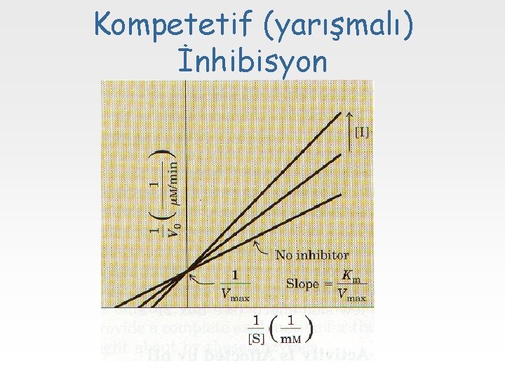 Kompetetif (yarışmalı) İnhibisyon 