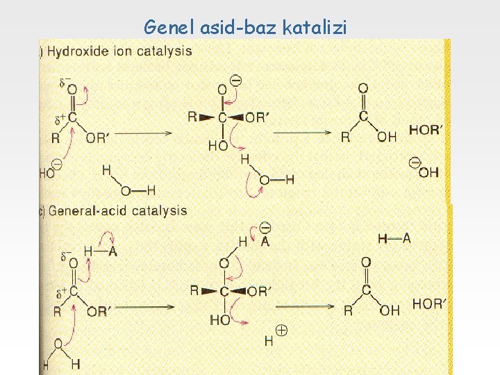 Genel asid-baz katalizi 