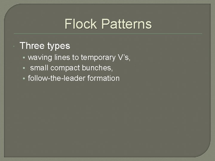 Martin Flock Pattern WATERFOWL IDENTIFICATION By Dustin Carnahan Objectives 1 explain