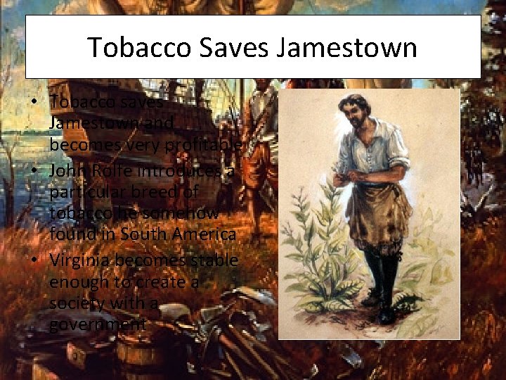 Tobacco Saves Jamestown • Tobacco saves Jamestown and becomes very profitable • John Rolfe