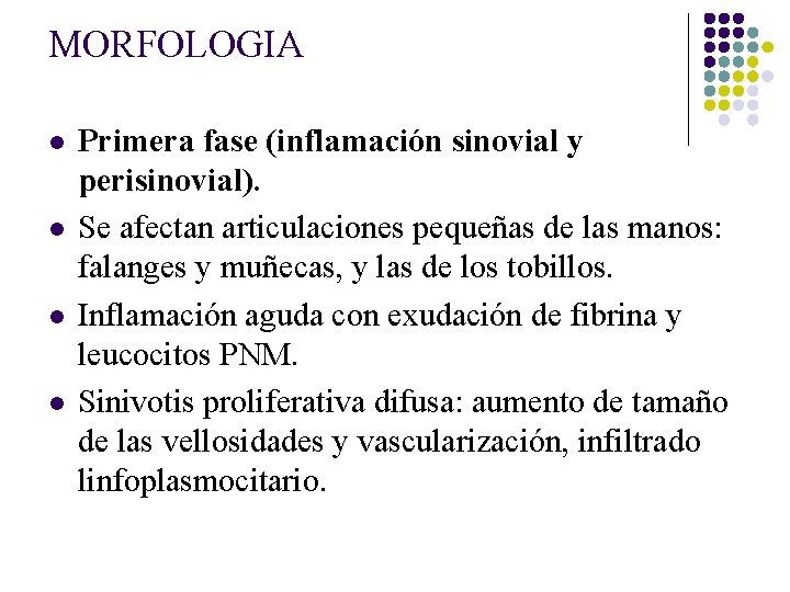 MORFOLOGIA l l Primera fase (inflamación sinovial y perisinovial). Se afectan articulaciones pequeñas de MORFOLOGIA l l Primera fase (inflamación sinovial y perisinovial). Se afectan articulaciones pequeñas de