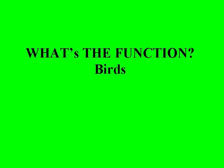 WHAT’s THE FUNCTION? Birds 