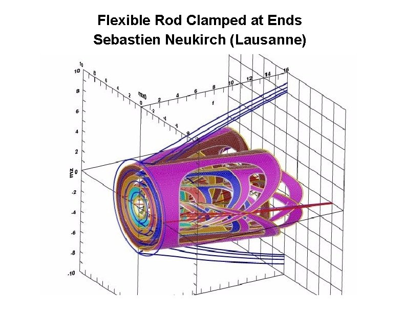 Flexible Rod Clamped at Ends Sebastien Neukirch (Lausanne) 