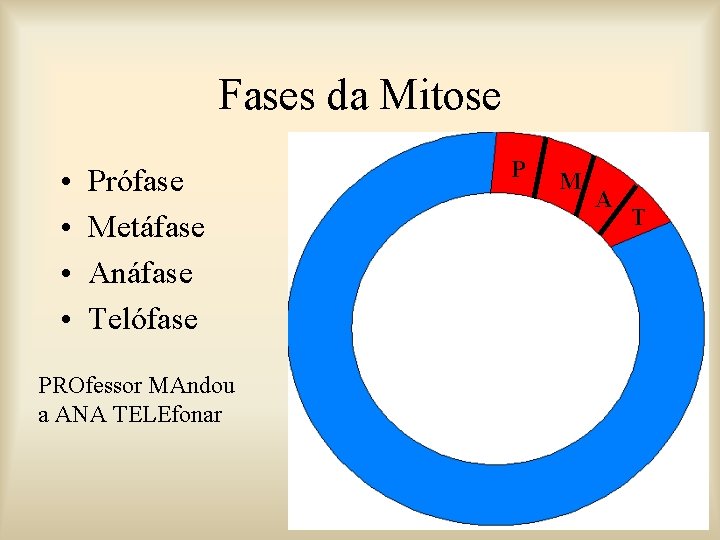Fases da Mitose • • Prófase Metáfase Anáfase Telófase PROfessor MAndou a ANA TELEfonar