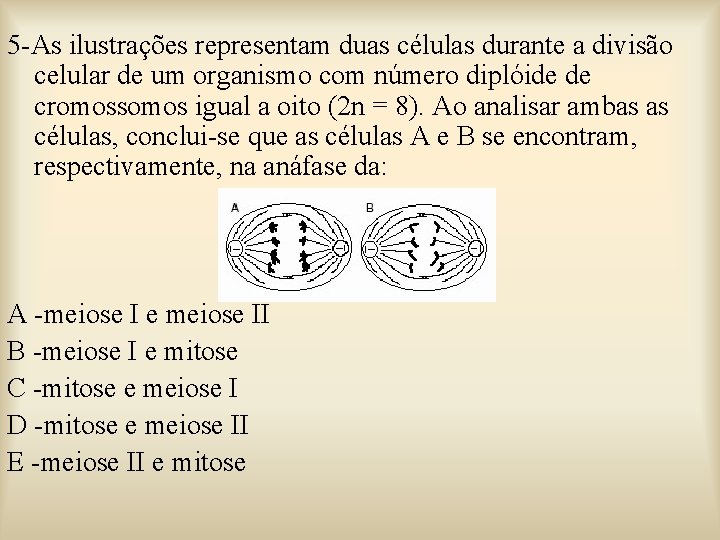 5 -As ilustrações representam duas células durante a divisão celular de um organismo com