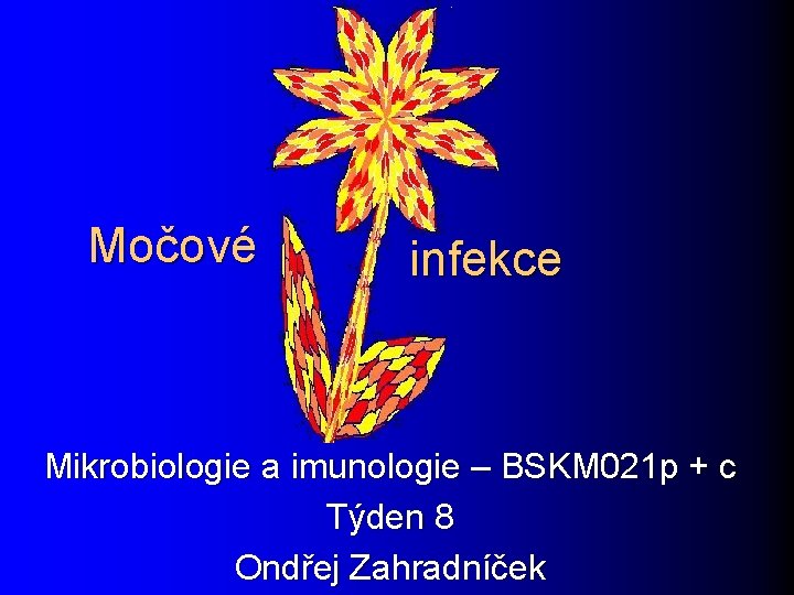 Močové infekce Mikrobiologie a imunologie – BSKM 021 p + c Týden 8 Ondřej