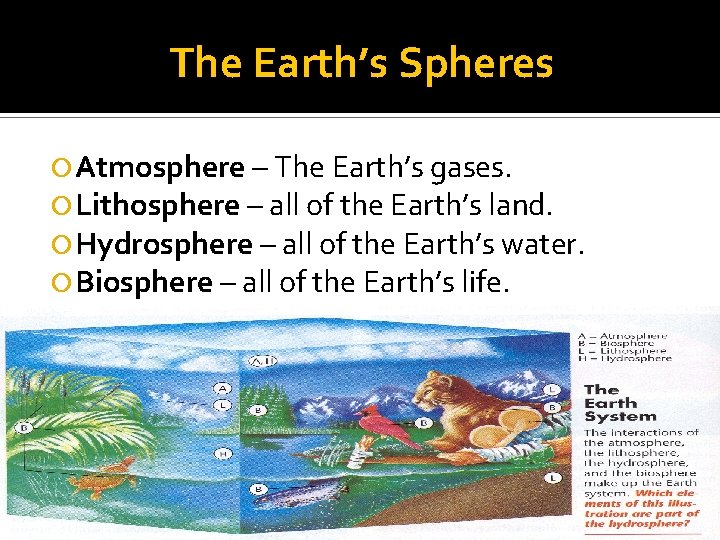 The Earth’s Spheres Atmosphere – The Earth’s gases. Lithosphere – all of the Earth’s