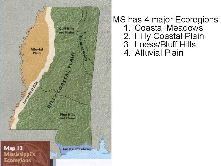 MS has 4 major Ecoregions 1. Coastal Meadows 2. Hilly Coastal Plain 3. Loess/Bluff