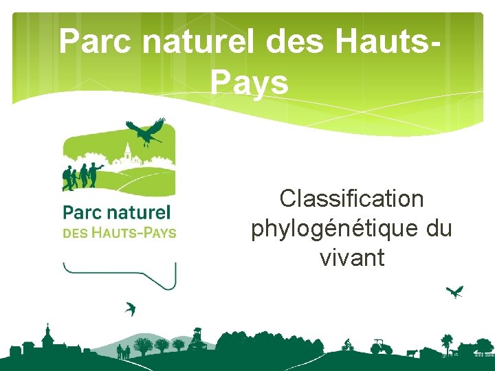 Parc naturel des Hauts. Pays Classification phylogénétique du vivant 