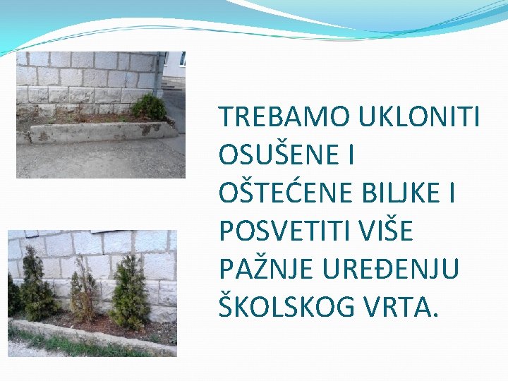 TREBAMO UKLONITI OSUŠENE I OŠTEĆENE BILJKE I POSVETITI VIŠE PAŽNJE UREĐENJU ŠKOLSKOG VRTA. TREBAMO UKLONITI OSUŠENE I OŠTEĆENE BILJKE I POSVETITI VIŠE PAŽNJE UREĐENJU ŠKOLSKOG VRTA.