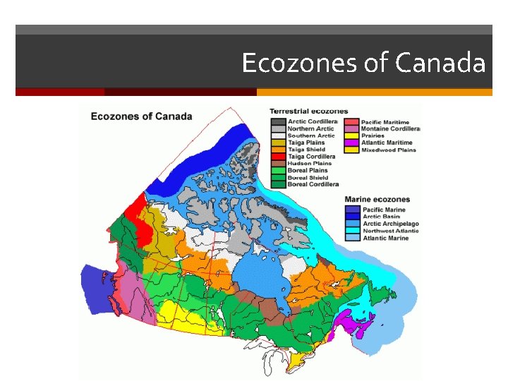 Ecozones of Canada 