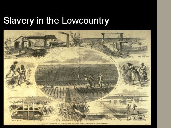 Slavery in the Lowcountry 
