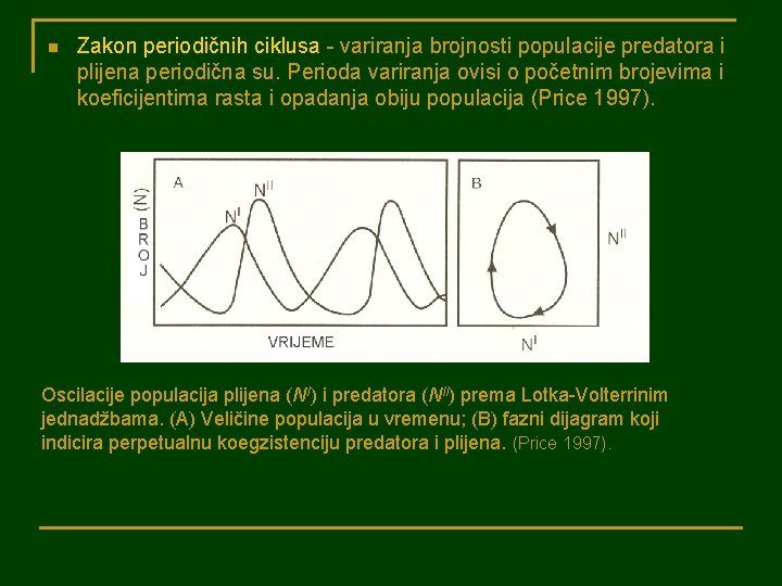 n Zakon periodičnih ciklusa - variranja brojnosti populacije predatora i plijena periodična su. Perioda