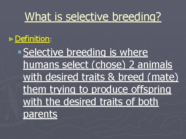 What is selective breeding? ► Definition: § Selective breeding is where humans select (chose)