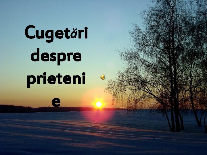 Cugetări despre prieteni e 