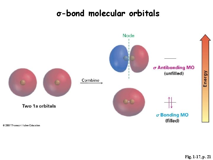 σ-bond molecular orbitals Fig. 1 -17, p. 21 