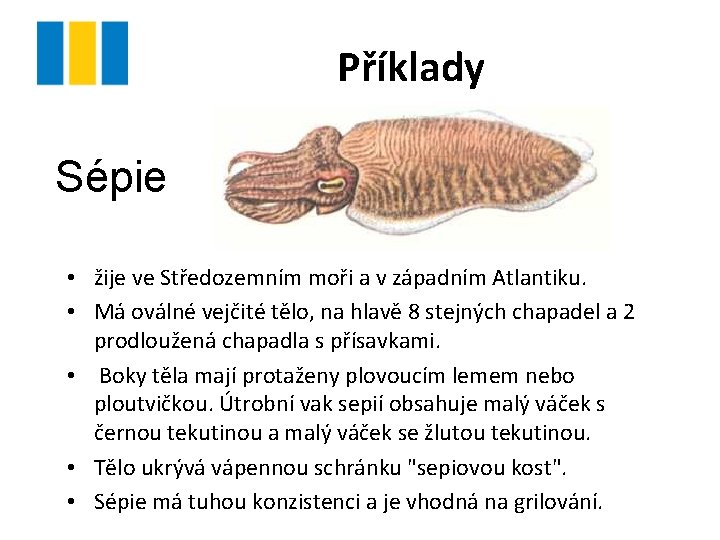 Příklady Sépie • žije ve Středozemním moři a v západním Atlantiku. • Má oválné