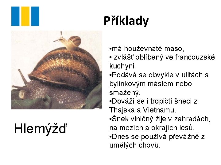 Příklady Hlemýžď • má houževnaté maso, • zvlášť oblíbený ve francouzské kuchyni. • Podává