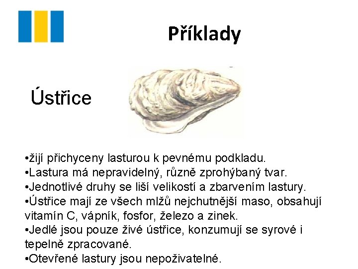 Příklady Ústřice • žijí přichyceny lasturou k pevnému podkladu. • Lastura má nepravidelný, různě