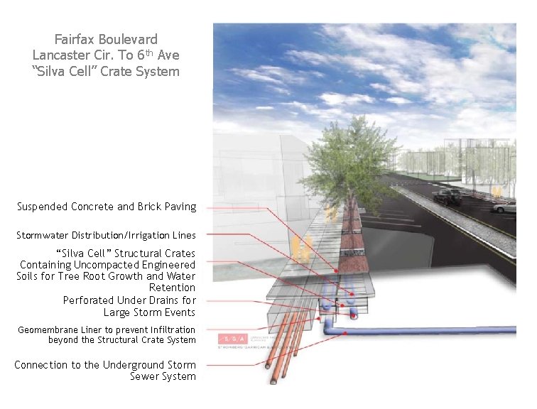 Fairfax Boulevard Lancaster Cir. To 6 th Ave “Silva Cell” Crate System Suspended Concrete