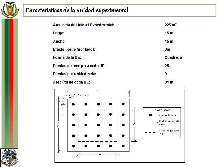 Características de la unidad experimental Área neta de Unidad Experimental: 225 m 2 Largo: