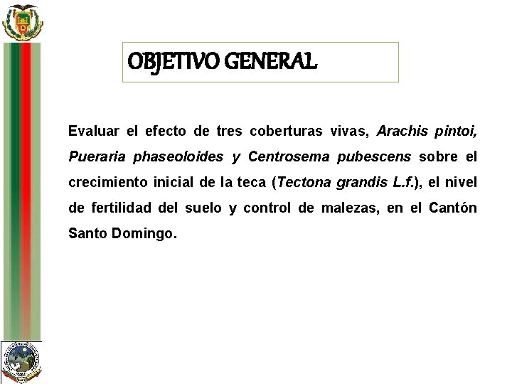 OBJETIVO GENERAL Evaluar el efecto de tres coberturas vivas, Arachis pintoi, Pueraria phaseoloides y