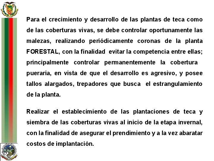 Para el crecimiento y desarrollo de las plantas de teca como de las coberturas