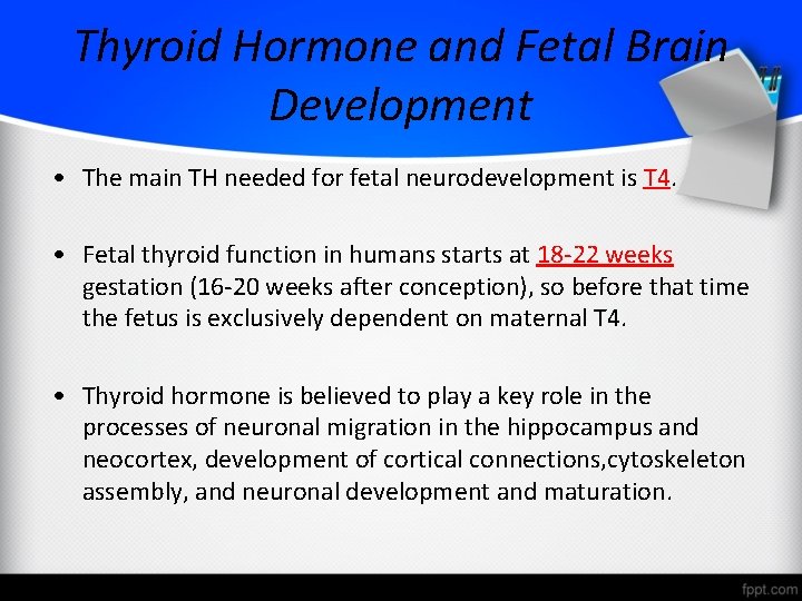 Thyroid Hormone and Fetal Brain Development • The main TH needed for fetal neurodevelopment