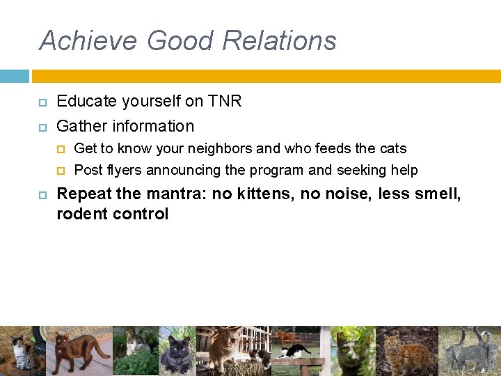 Achieve Good Relations Educate yourself on TNR Gather information Get to know your neighbors Achieve Good Relations Educate yourself on TNR Gather information Get to know your neighbors