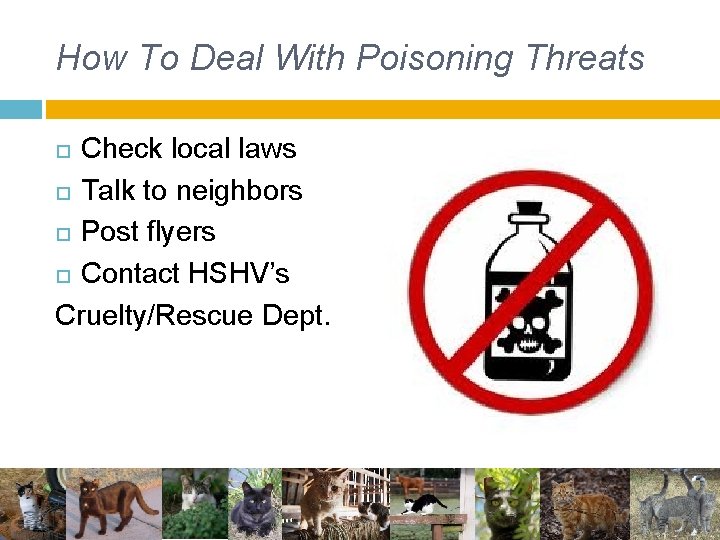 How To Deal With Poisoning Threats Check local laws Talk to neighbors Post flyers How To Deal With Poisoning Threats Check local laws Talk to neighbors Post flyers