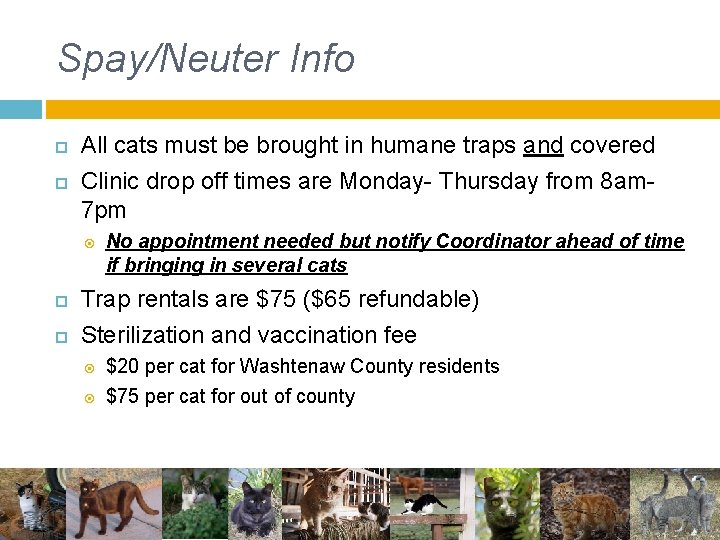 Spay/Neuter Info All cats must be brought in humane traps and covered Clinic drop Spay/Neuter Info All cats must be brought in humane traps and covered Clinic drop