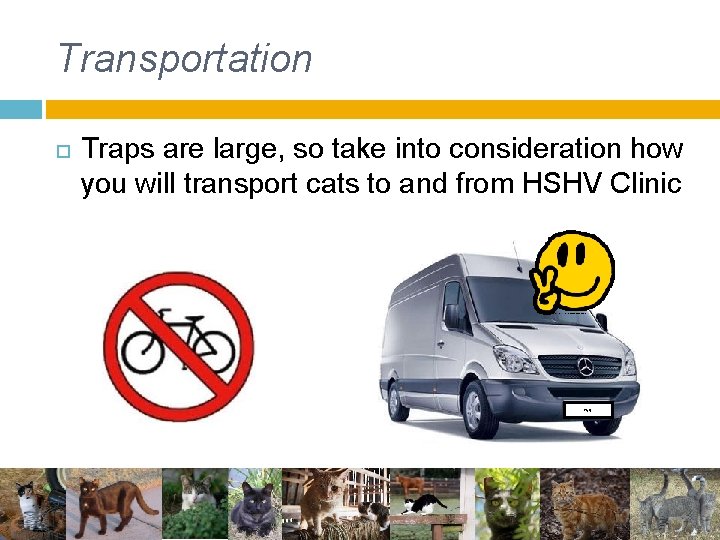 Transportation Traps are large, so take into consideration how you will transport cats to Transportation Traps are large, so take into consideration how you will transport cats to