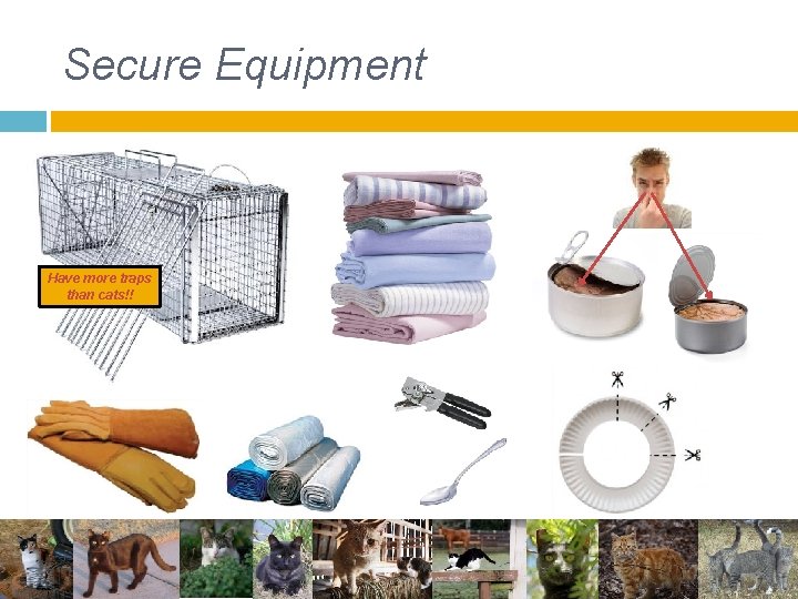Secure Equipment Have more traps than cats!! Secure Equipment Have more traps than cats!!