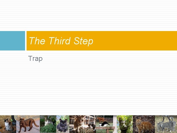 The Third Step Trap The Third Step Trap