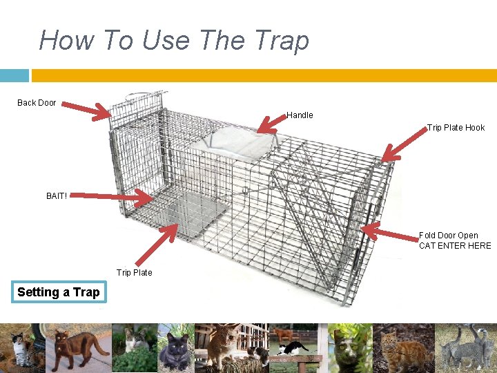 How To Use The Trap Back Door Handle Trip Plate Hook BAIT! Fold Door How To Use The Trap Back Door Handle Trip Plate Hook BAIT! Fold Door
