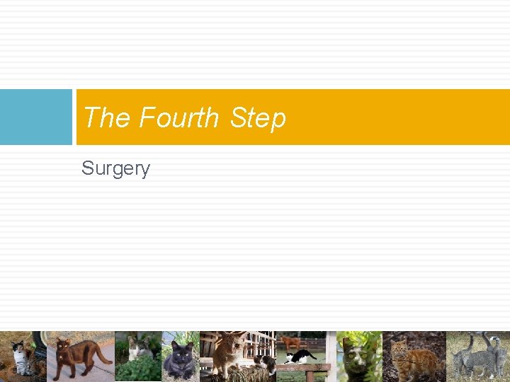 The Fourth Step Surgery The Fourth Step Surgery