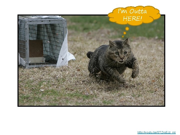 I’m Outta HERE! http: //youtu. be/STZrg. EJz_m. I I’m Outta HERE! http: //youtu. be/STZrg. EJz_m. I