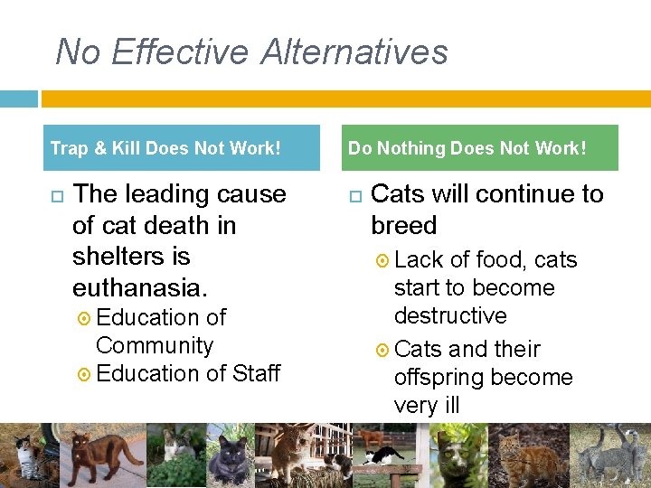 No Effective Alternatives Trap & Kill Does Not Work! The leading cause of cat No Effective Alternatives Trap & Kill Does Not Work! The leading cause of cat