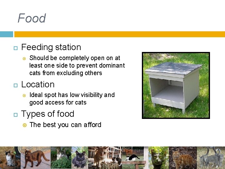 Food Feeding station Location Should be completely open on at least one side to Food Feeding station Location Should be completely open on at least one side to
