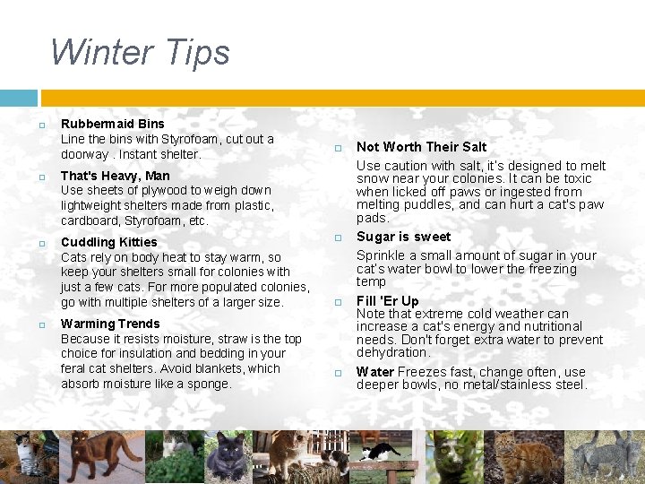Winter Tips Rubbermaid Bins Line the bins with Styrofoam, cut out a doorway. Instant Winter Tips Rubbermaid Bins Line the bins with Styrofoam, cut out a doorway. Instant