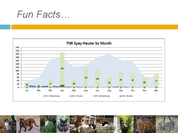 Fun Facts… Fun Facts…