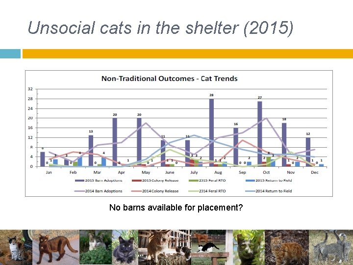 Unsocial cats in the shelter (2015) No barns available for placement? Unsocial cats in the shelter (2015) No barns available for placement?