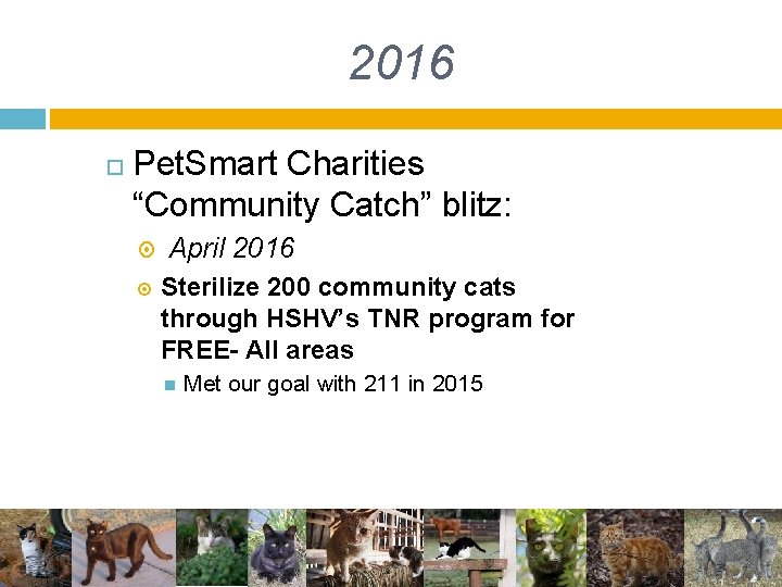 2016 Pet. Smart Charities “Community Catch” blitz: April 2016 Sterilize 200 community cats through 2016 Pet. Smart Charities “Community Catch” blitz: April 2016 Sterilize 200 community cats through